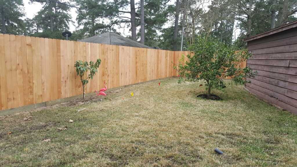 New Wood Fencing