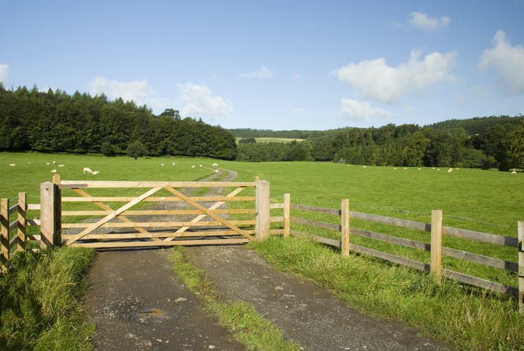 Corral Fence